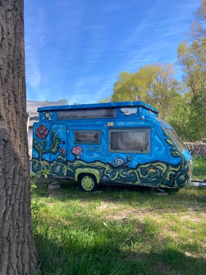 Camping Rogowo Mrzeżyno Kamer foto