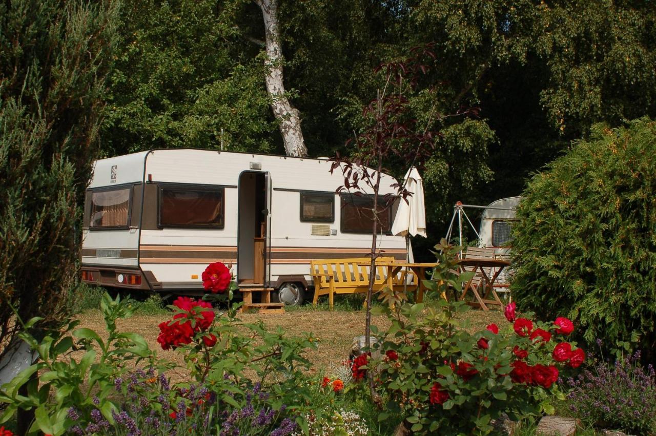 Camping Rogowo Mrzeżyno Buitenkant foto