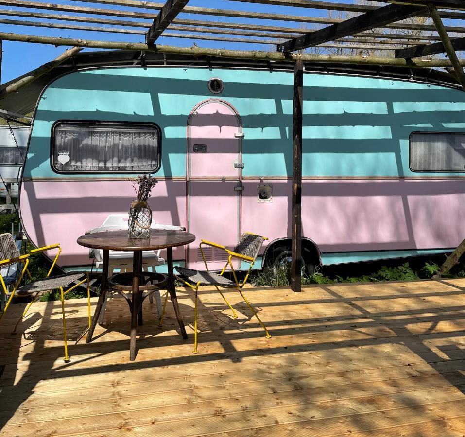 Camping Rogowo Mrzeżyno Buitenkant foto